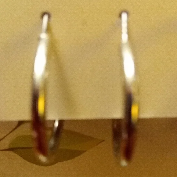 George Shiny Silver Hoop Earrings Collection - Picture 5 of 8